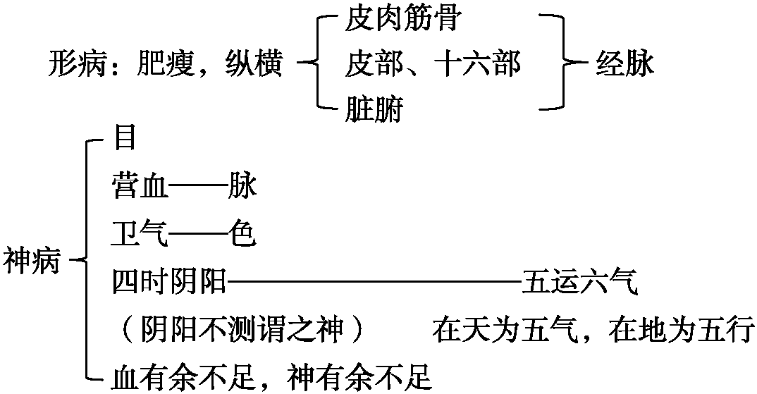 第四节 生命三要素——形、气、神